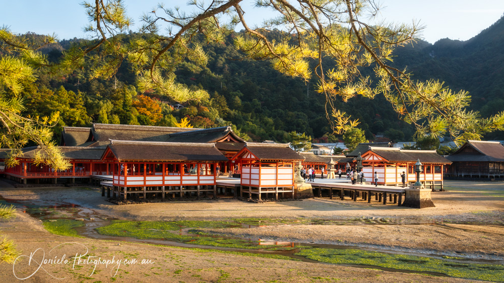 Miyajima Itsukushima Shrine in autumn